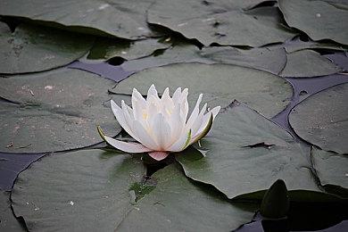 续作要来？《天国：拯救》工作室已在开发新的游戏