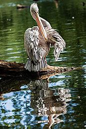 《星刃》四年前实机视频 与现在版本相比差距大吗？